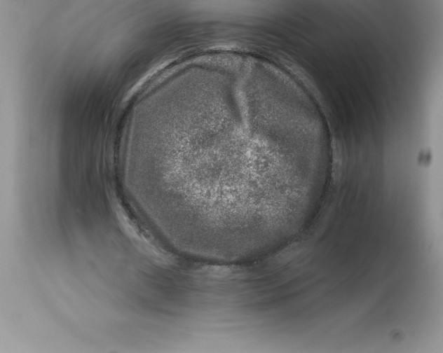 X0000112880482200909181852