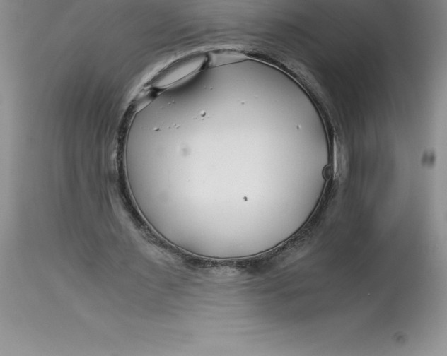 X0000112880483200909181852