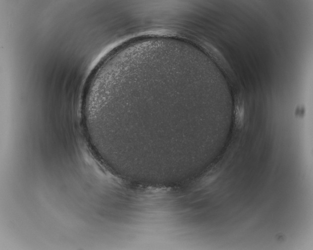 X0000112880484200909181851