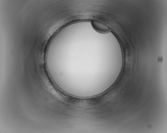 X0000112880485200909181851