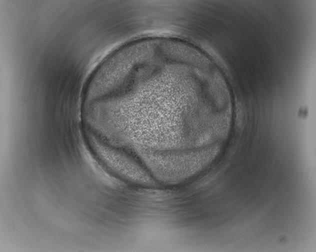 X0000112880486200909181851