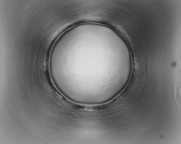 X0000112880487200909181851