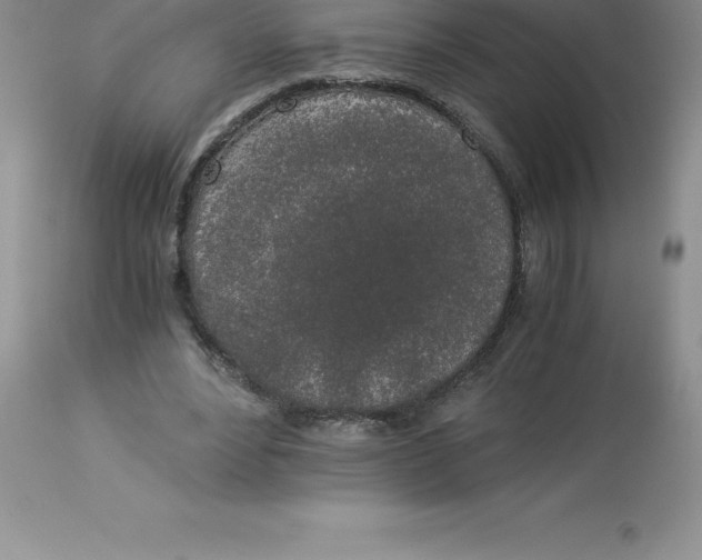 X0000112880488200909181851