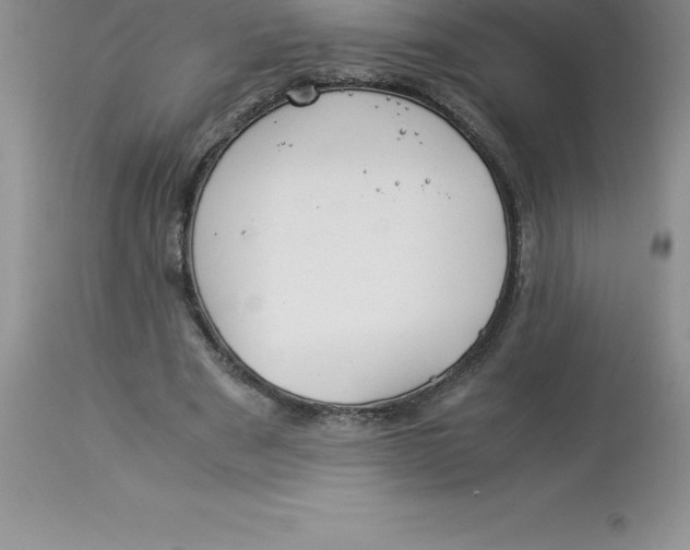 X0000112880489200909181851