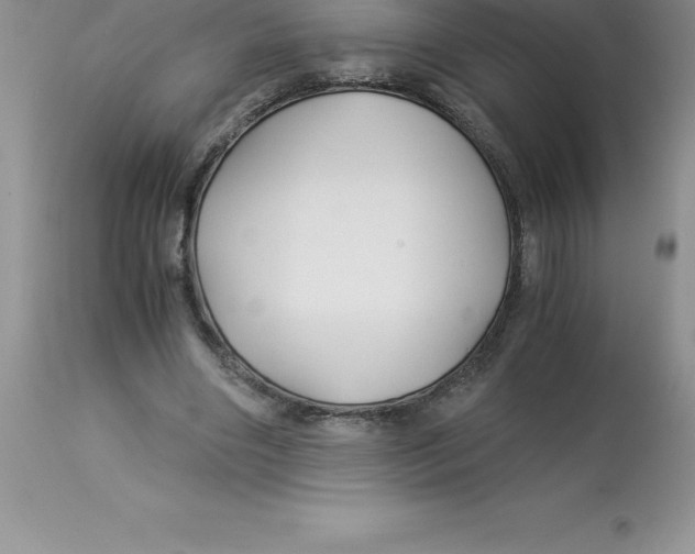 X0000112880490200909181851