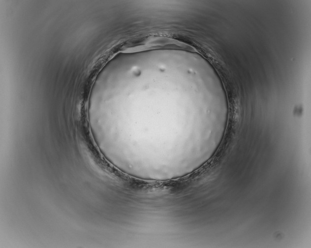 X0000112880491200909181851