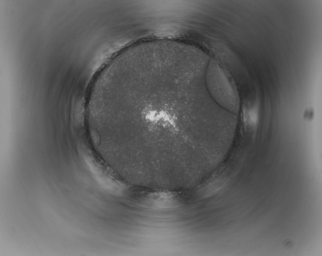 X0000112880492200909181851