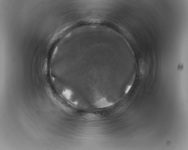 X0000112880494200909181851