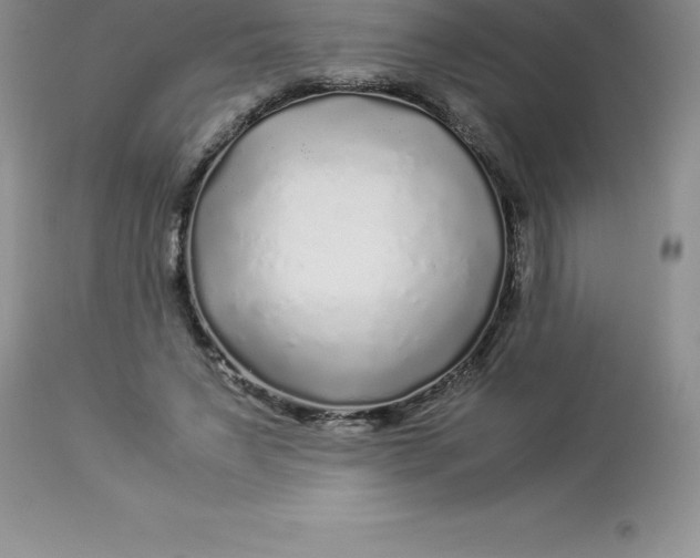 X0000112880495200909181851