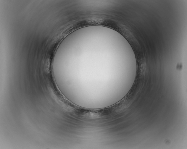 X0000112880498200909181851