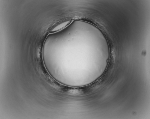 X0000112880499200909181851