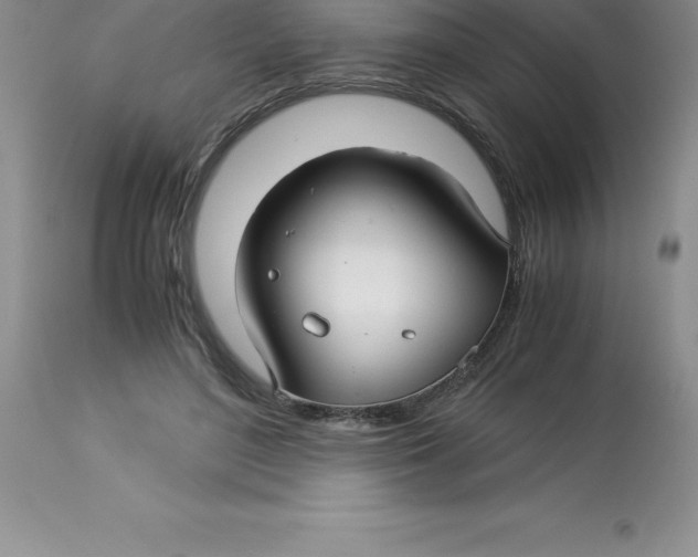 X0000112880500200909181851