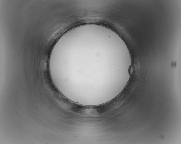 X0000112880501200909181851