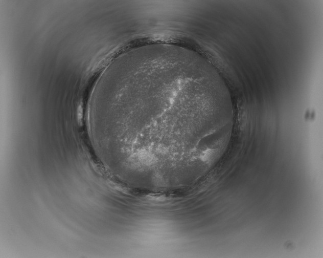 X0000112880502200909181851