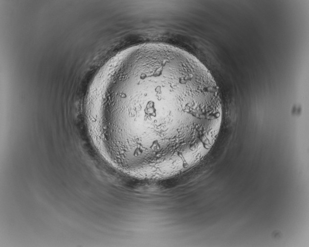 X0000112880503200909181851