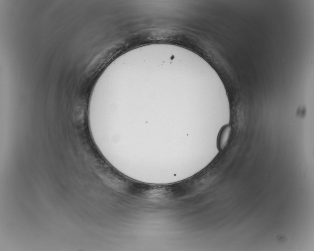 X0000112880505200909181851