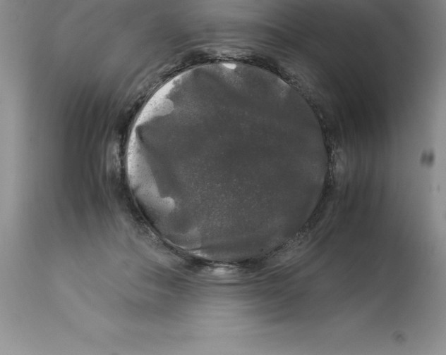 X0000112880506200909181851