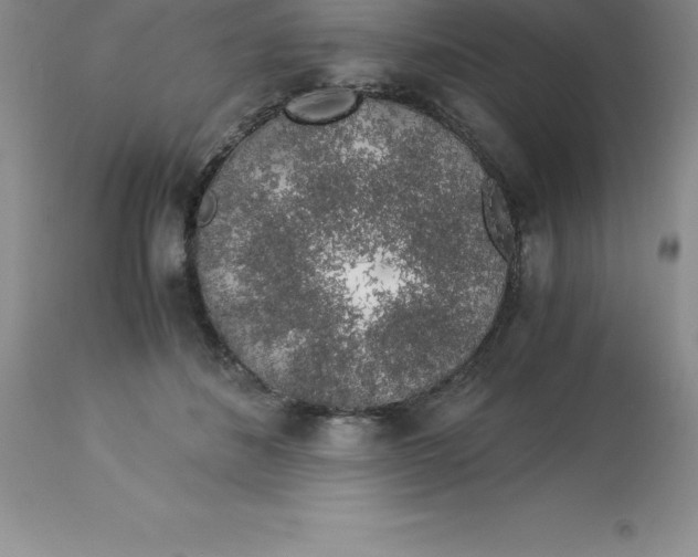 X0000112880508200909181851