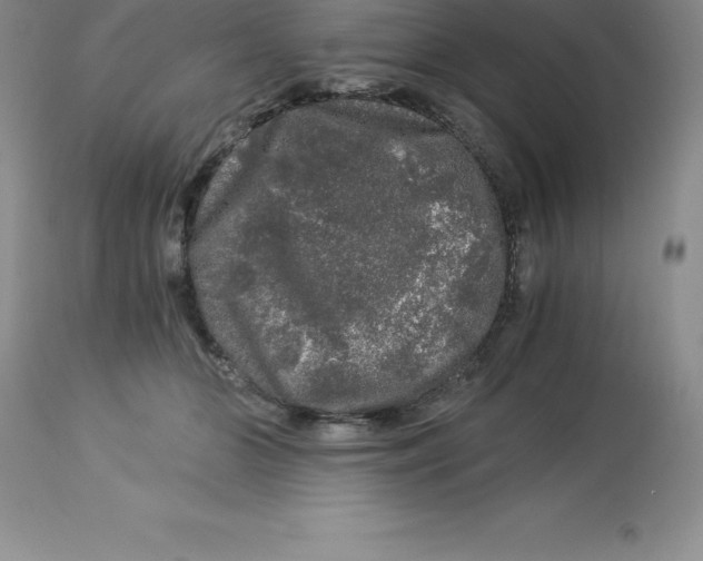 X0000112880510200909181851