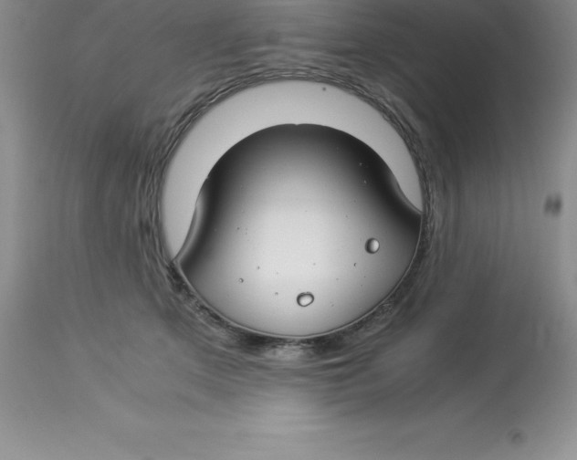 X0000112880513200909181851