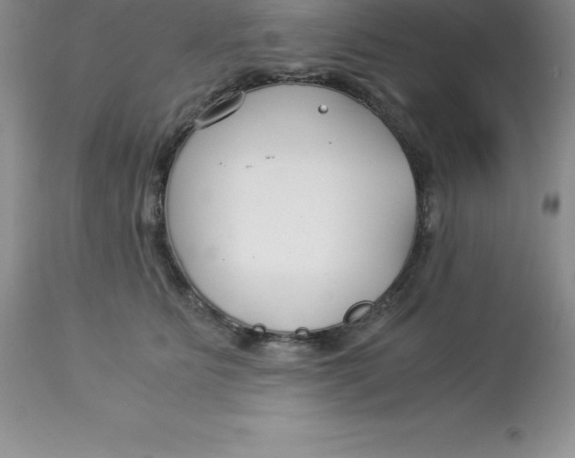 X0000112880515200909181851