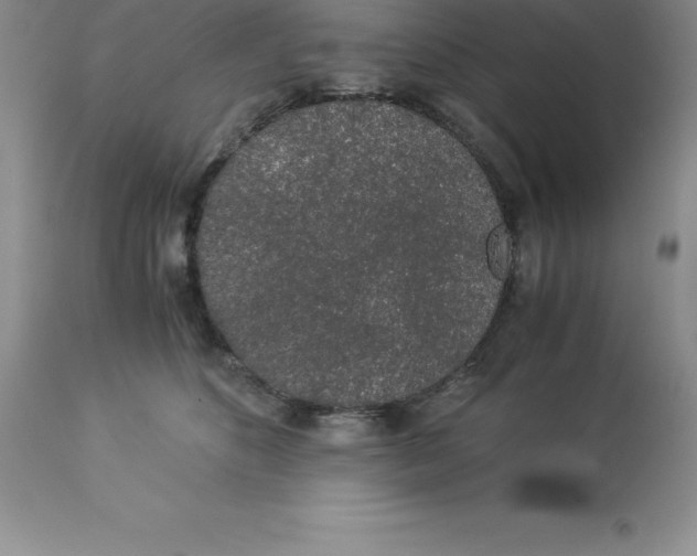 X0000112880516200909181851