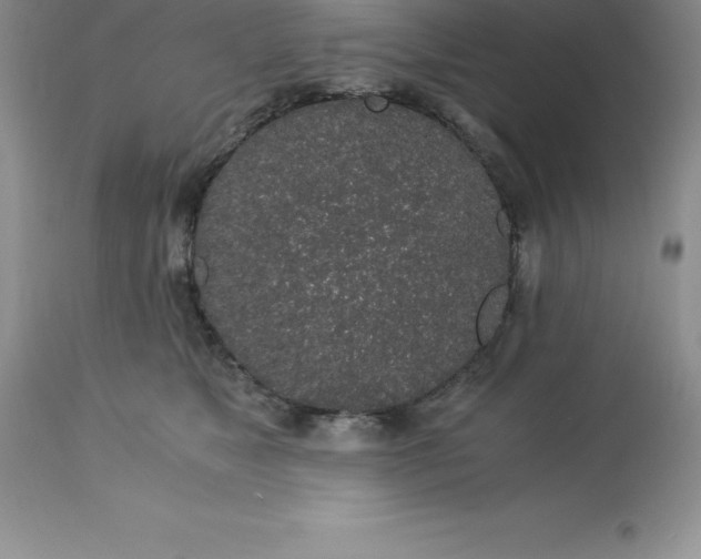 X0000112880517200909181851