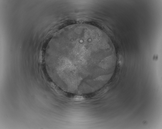 X0000112880519200909181851