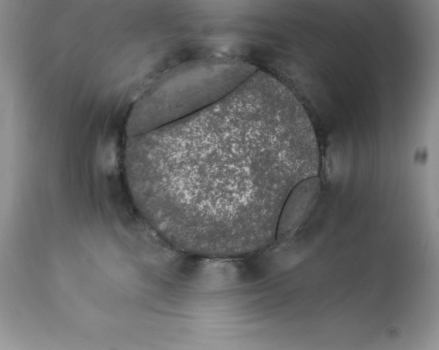 X0000112880520200909181851