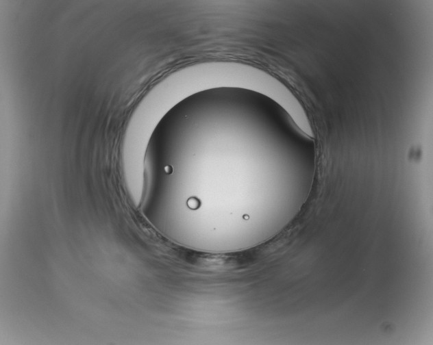 X0000112880521200909181851