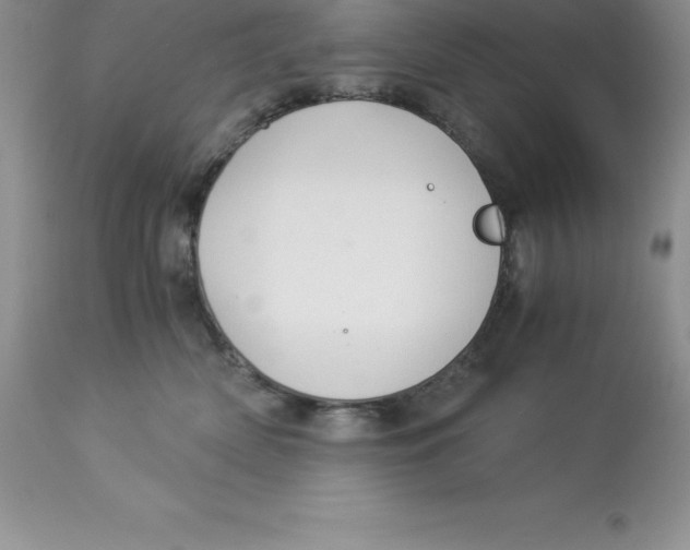 X0000112880522200909181851