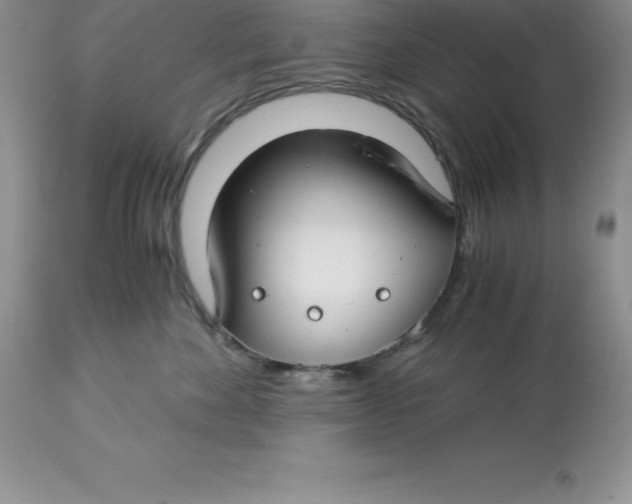 X0000112880524200909181851