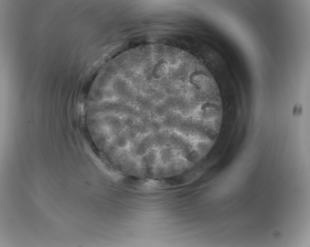 X0000112880527200909181851