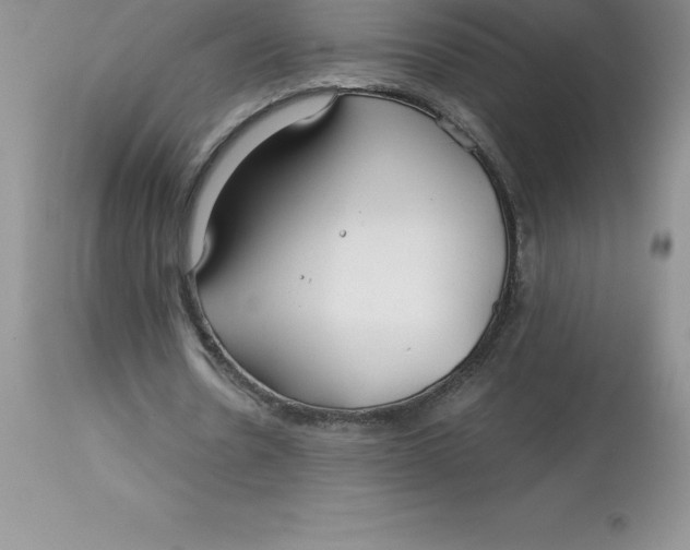 X0000112880530200909181850