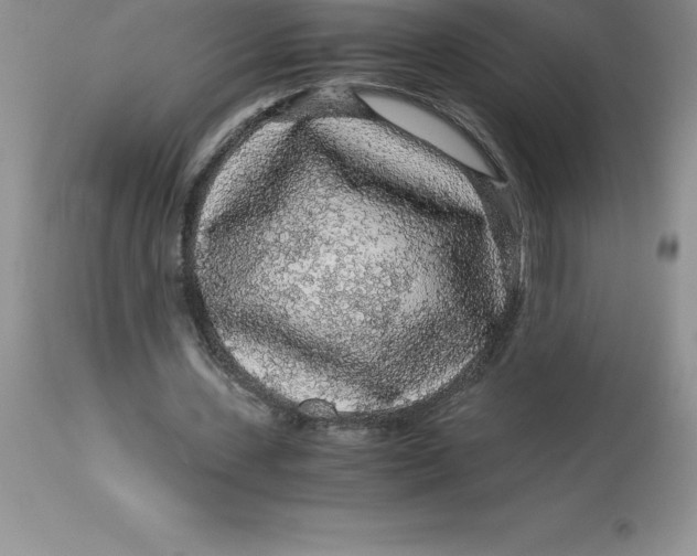 X0000112880531200909181850