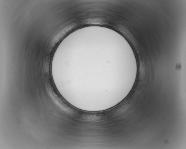 X0000112880533200909181850