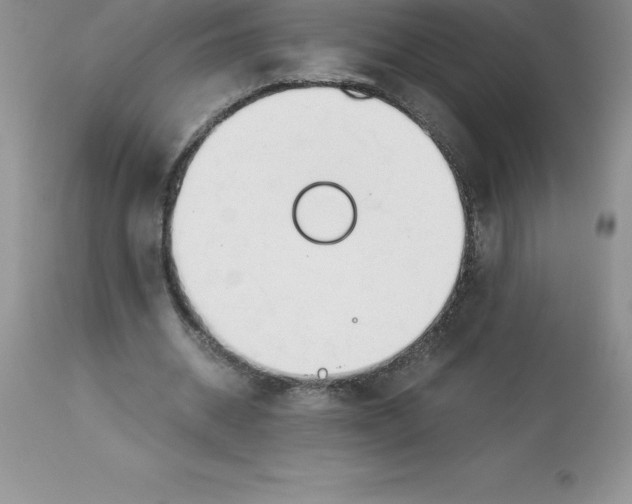 X0000112880534200909181850