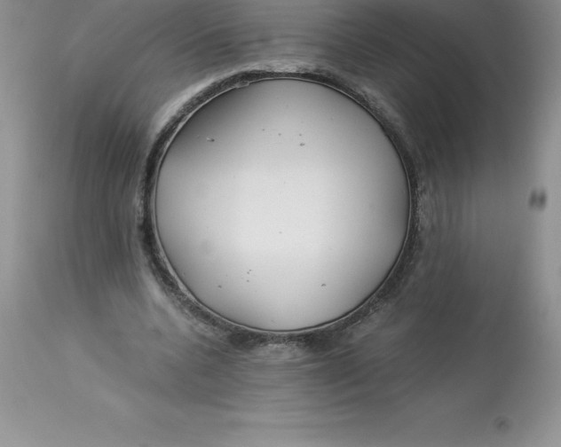 X0000112880536200909181850