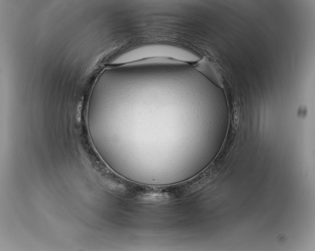 X0000112880543200909181850