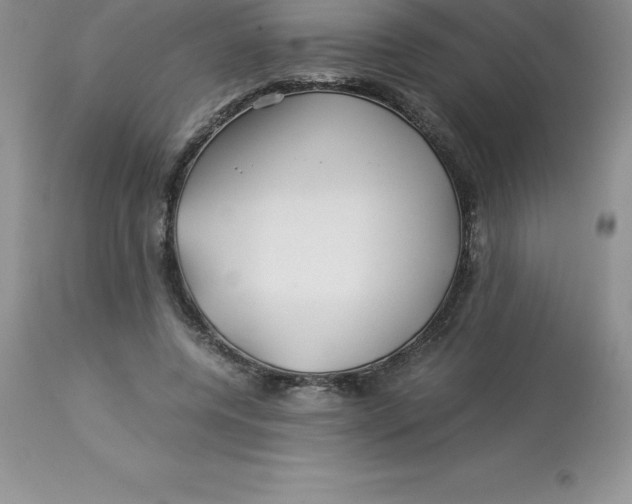 X0000112880544200909181850