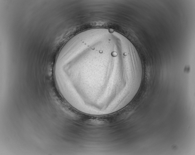 X0000112880545200909181850