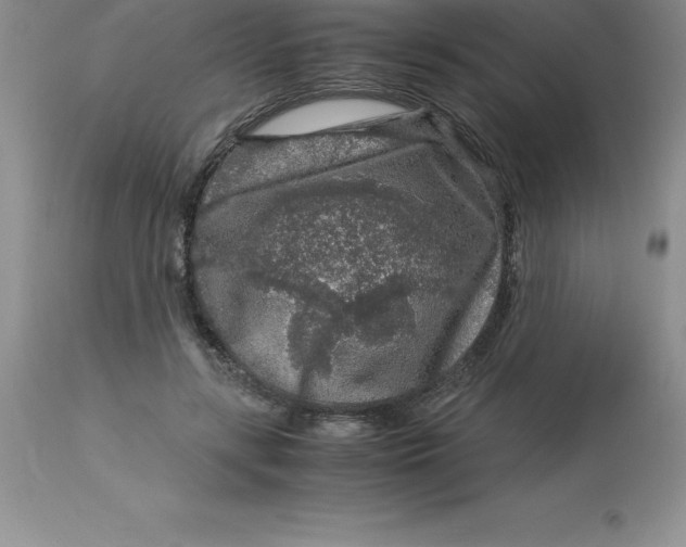 X0000112880547200909181850