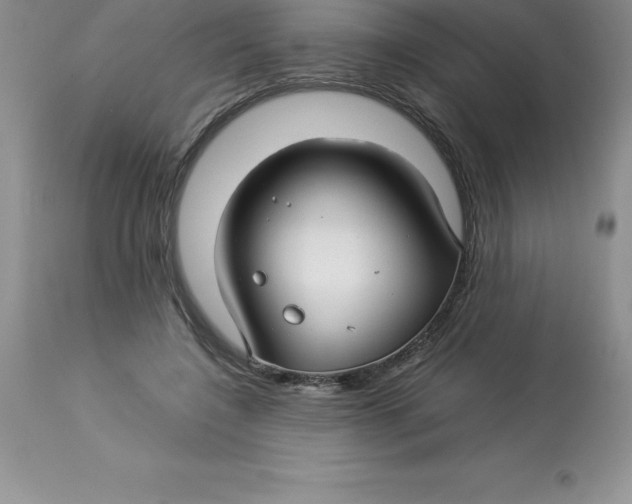 X0000112880548200909181850