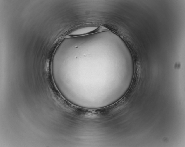 X0000112880550200909181850