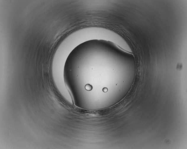 X0000112880552200909181851