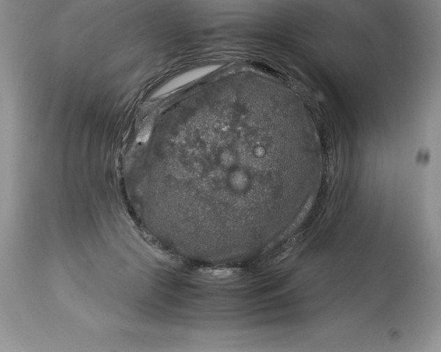 X0000112880553200909181851