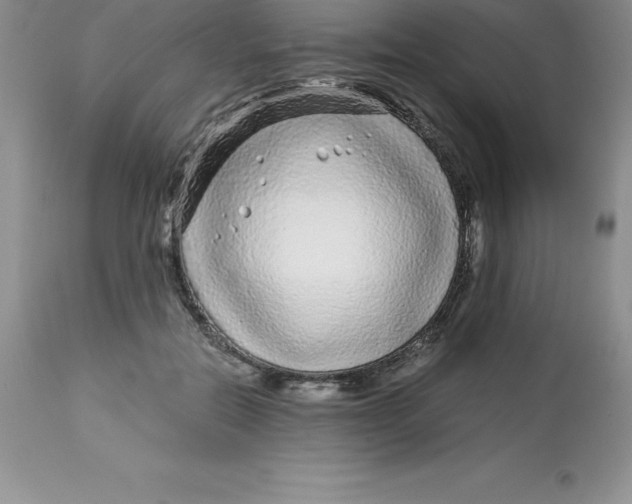 X0000112880554200909181851