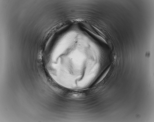 X0000112880555200909181851