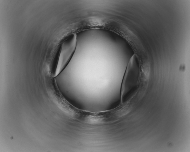 X0000112880556200909181851