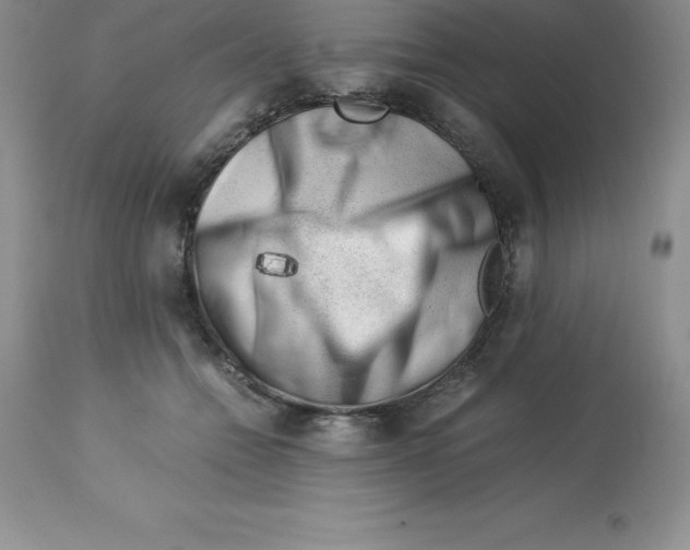 X0000112880558200909181851